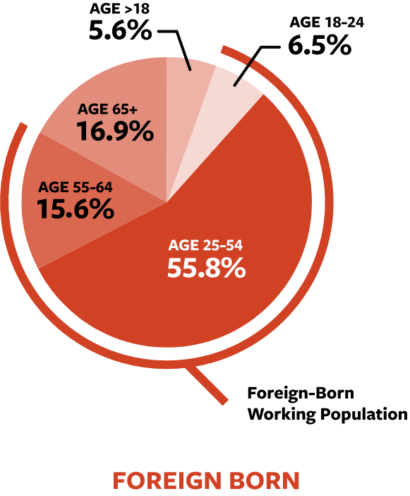 Pie graphic showing about three quarters of foreign-born population as working age