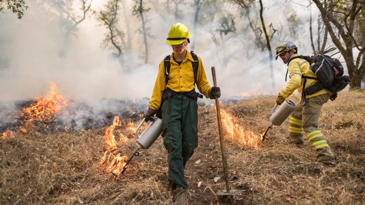 As fire releases dense smoke in the background, a young woman and man in heavy pants and bright yellow protective gear learn how to set controlled fires at an ecological preserve.