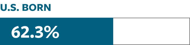 Bar graph show 62.3 percent of US-born Americans participating in the work force