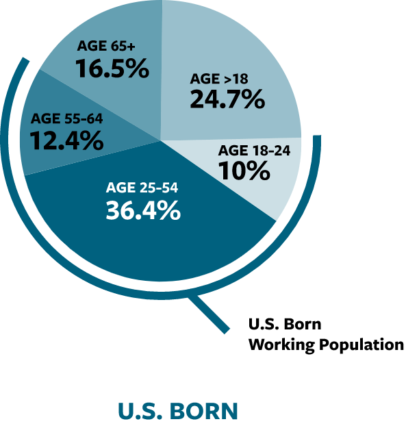 Pie graphic showing about half of the US-born population as working age