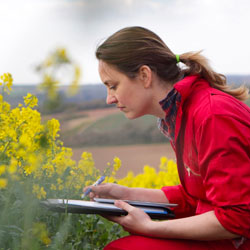 woman doing research in the field