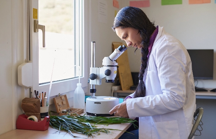 A man with a long braid in his hair and wearing a lab coat looks into a microscope. There are samples of grass-like plants on the table beside the microscope and other instruments.